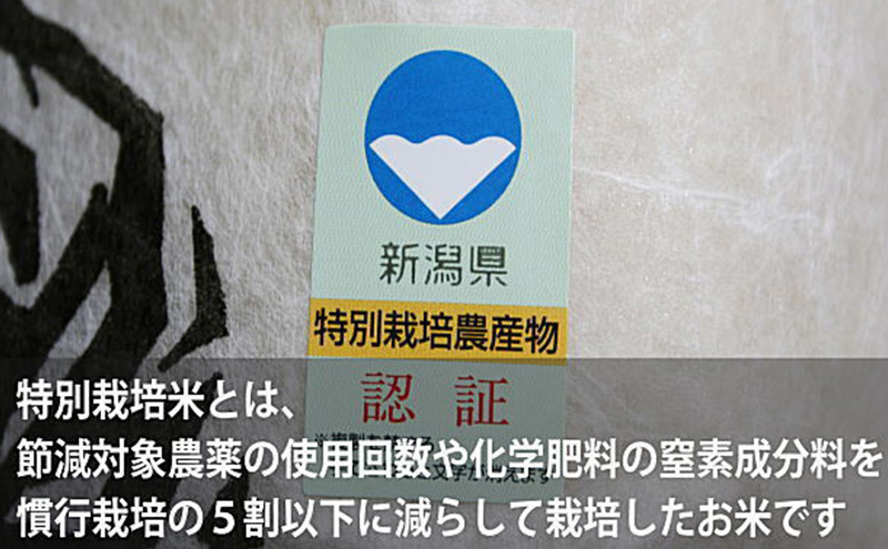 莉、蜥7蟷エ 譁ー貎溽恁荳願カ雁クら肇 迚ケ蛻・譬ス蝓ケ邀ウ 繧ウ繧キ繝偵き繝ェ 15kg シ5kgテ3陲具シ峨♀邀ウ 繧ウ繝。 縺薙@縺イ縺九j 縺オ縺√シ繧螟ァ蝨ー