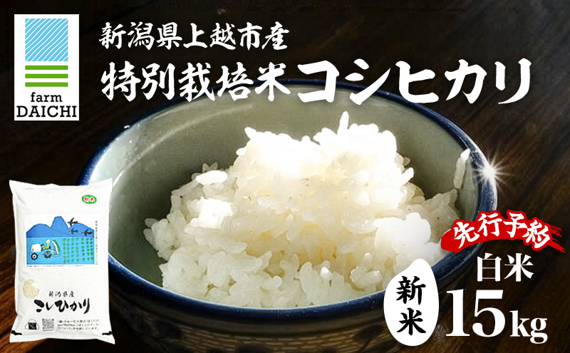 先行予約 令和8年 新米 新潟県上越市産 特別栽培米 コシヒカリ 15kg （5kg×3袋）お米 コメ こしひかり ふぁーむ大地