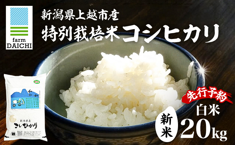 先行予約 令和8年 新米 新潟県上越市産 特別栽培米 コシヒカリ 20kg （5kg×4袋）お米 コメ こしひかり ふぁーむ大地