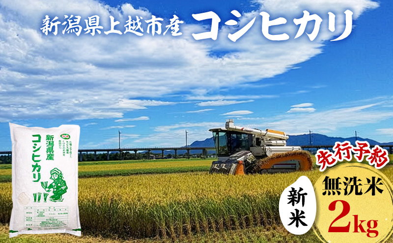 蜈郁。御コ育エ 莉、蜥8蟷エ 譁ー邀ウ 譁ー貎溽恁荳願カ雁クら肇 辟。豢礼アウ 繧ウ繧キ繝偵き繝ェ 2kg 2繧ュ繝ュ 縺顔アウ 繧ウ繝。 縺薙@縺イ縺九j 縺オ縺√シ繧螟ァ蝨ー