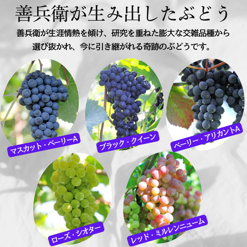 ワイン 岩の原ワイン代表ブランド 深雪花 赤 白 ロゼ 3本 セット （赤×1本、白×1本、ロゼ×1本 各720ml） お酒 岩の原 酒 ギフト 新潟 上越 最短3日で発送