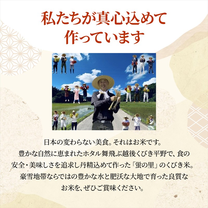 令和8年産 【10月配送】 新潟県上越市産 みずほの輝き 5kg 先行予約 新米 蛍の里