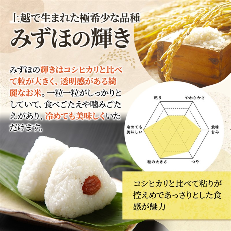 令和8年産 【11月配送】 新潟県上越市産 みずほの輝き 5kg 先行予約 新米 蛍の里