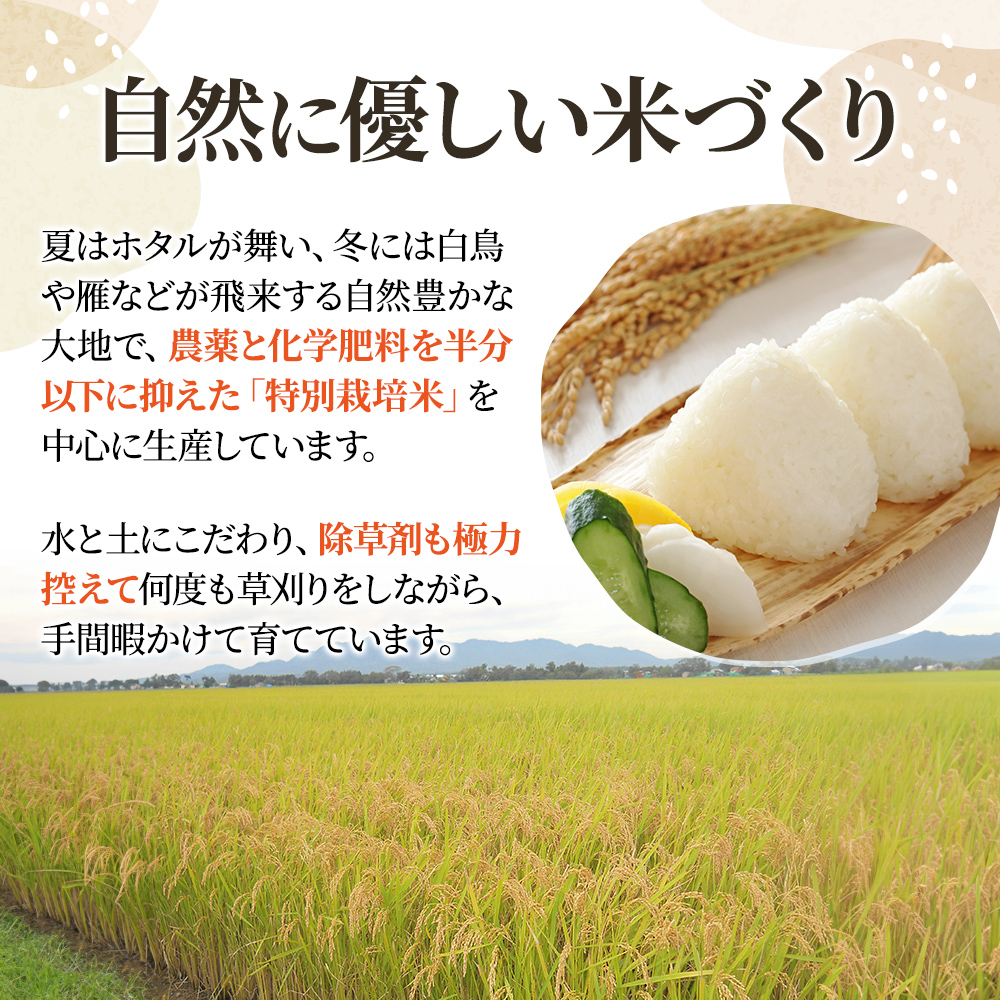 【精米したて！】 令和8年産 新潟県上越市産 コシヒカリ 定期便 5kg×3回 15kg 新米 先行予約 蛍の里