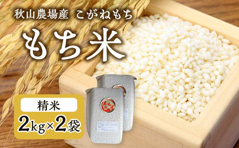 先行予約 令和8年産 【もち米】【真空パック】新潟産こがねもち 2Kg×2袋 新潟 上越 アフコ 秋山農場