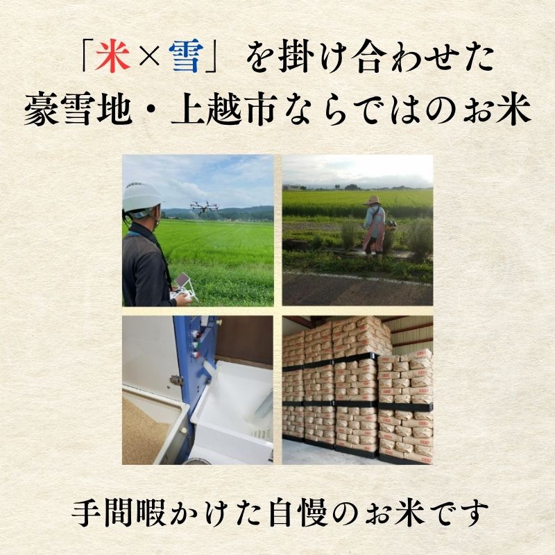 什å7å¹Žç£ æ°æœçäžè¶ç£ç±³ ã«ãã®ãããã 5kg éªäžè²¯èµç±³ 粟米 ç±³ãŽã£ã¬ããžããã éªãã éªå®€