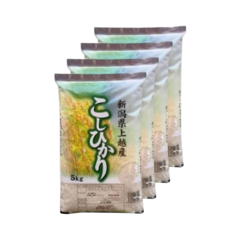 【令和8年産 先行予約】 コシヒカリ 無洗米 新潟県 上越産 20kg (5kg×4) 12か月 定期便 こしひかり 五つ星お米マイスターのいるお店 お米 精米 米 ご飯 大黒屋商店
