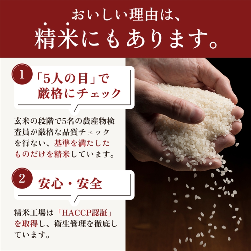 9月開始  新之助 無洗米 新潟県 上越産 10kg (5kg×2) 6か月 定期便 しんのすけ 五つ星お米マイスターのいるお店 お米 精米 米 ご飯 大黒屋商店