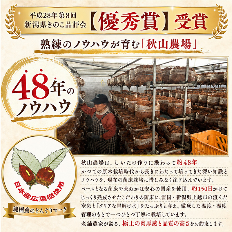 不揃い 訳あり 肉厚 新潟県上越市産 生しいたけ シイタケ 椎茸 約500g ×4箱（計約2kg） 秋山農場グリーンプロジェクト