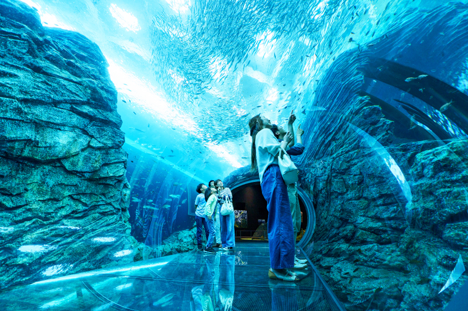 水族博物館うみがたりの魅力向上