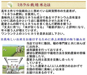 【新米】【3ヶ月定期便】ミネラル栽培こしひかり 5kg×3回 計15kg 白米 精米 井上米穀店 1I12034