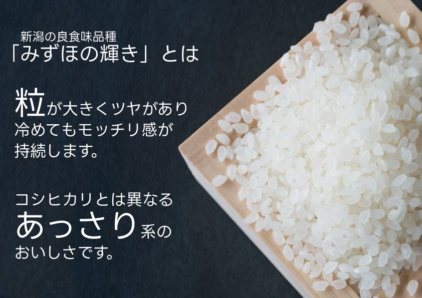 【パックご飯】 みずほの輝き 150g×24食 米杜氏 壱成 新潟良食味品種 大粒 艶やか つや 冷めてももっちり 1H18011