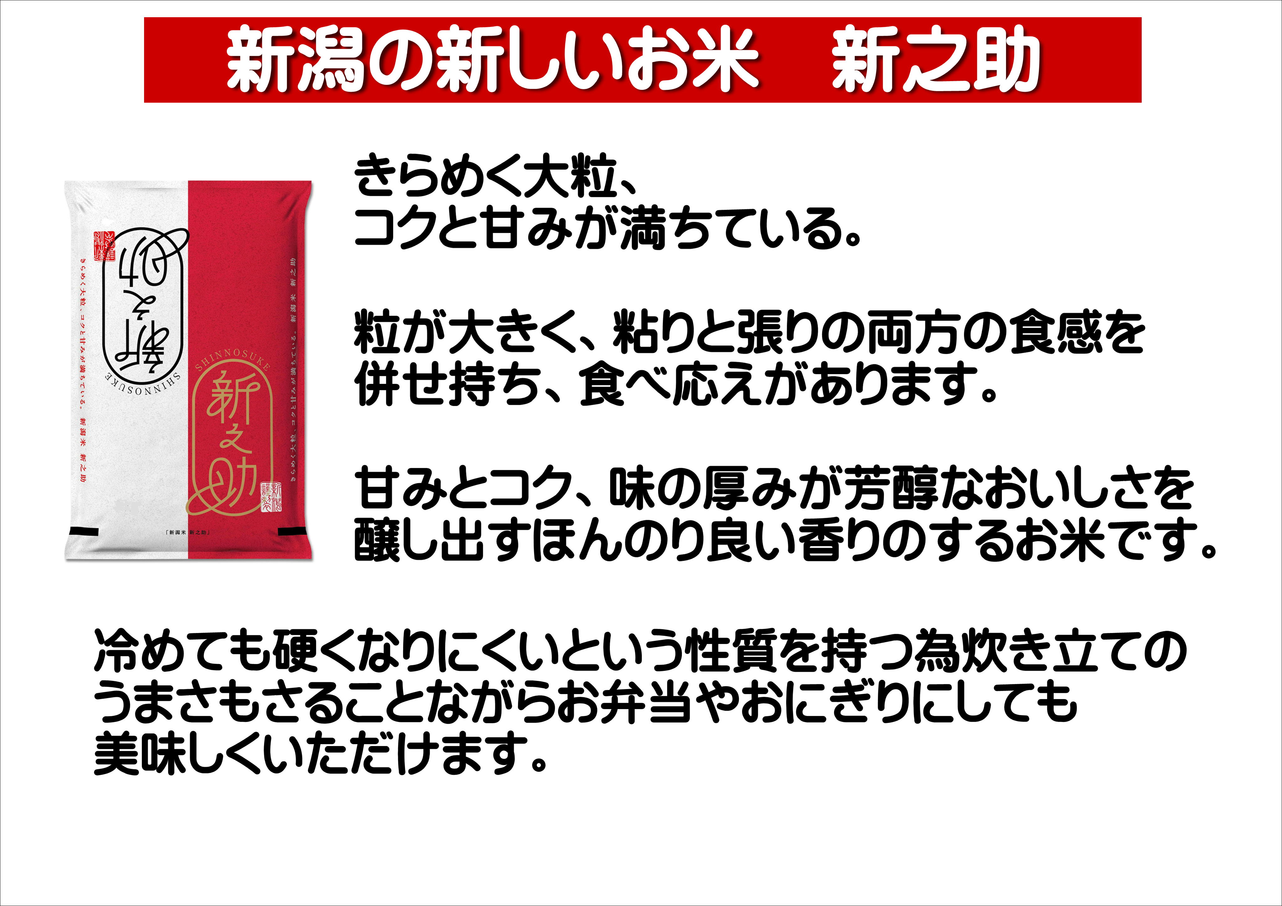 【令和6年産新米予約】【9ヶ月定期便】新之助 4kg×9回 計36kg 白米 精米 井上米穀店 11月上旬より順次発送予定 1I18072