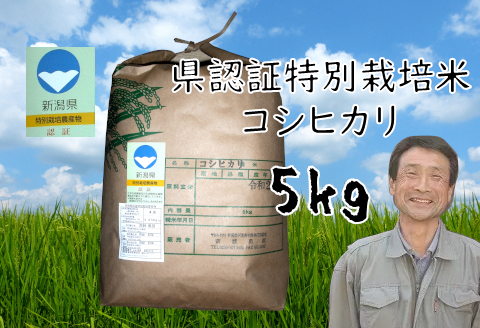 【3か月定期便】新潟県認証 特別栽培米 コシヒカリ 5kg×3回  1G14030