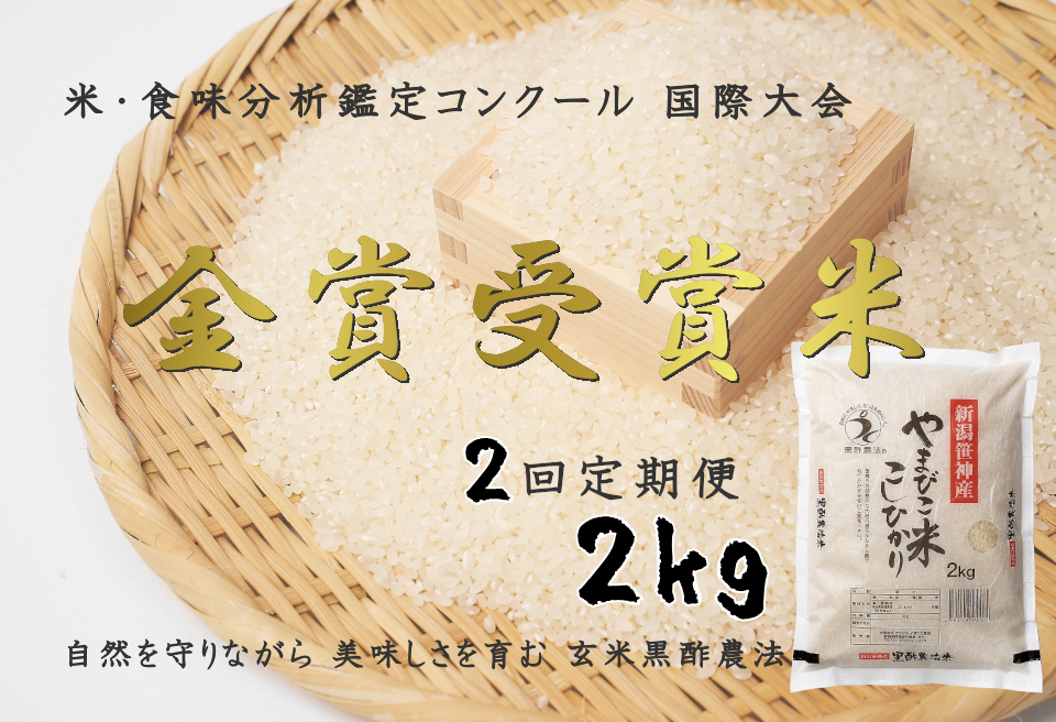 【令和7年産】【2か月定期便】コシヒカリ「やまびこ米」2kg×2回 玄米黒酢農法 金賞受賞 特別栽培米 白米 精米 農家直送 新潟県 米 こめ コメ 数量限定 1P06011