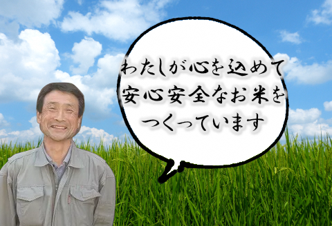 【令和7年産】新潟県産 純米コシヒカリ 20kg（5㎏×4袋） さいとう農園 白米 精米 米 こめ ごはん コシヒカリ こしひかり 1G19061