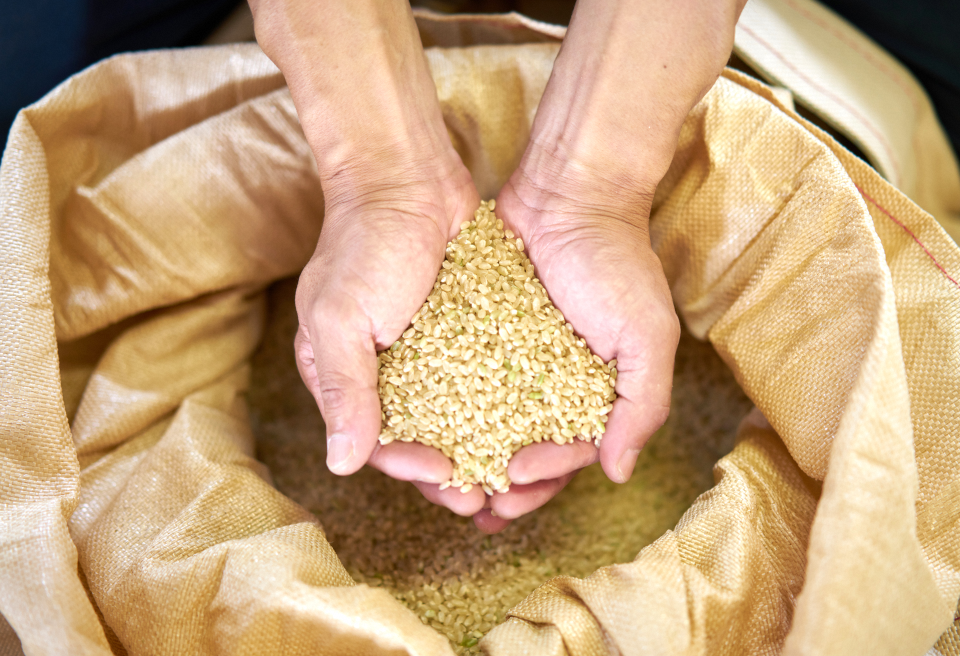 【令和7年産】【2か月定期便】コシヒカリ「やまびこ米」2kg×2回 玄米黒酢農法 金賞受賞 特別栽培米 白米 精米 農家直送 新潟県 米 こめ コメ 数量限定 1P06011