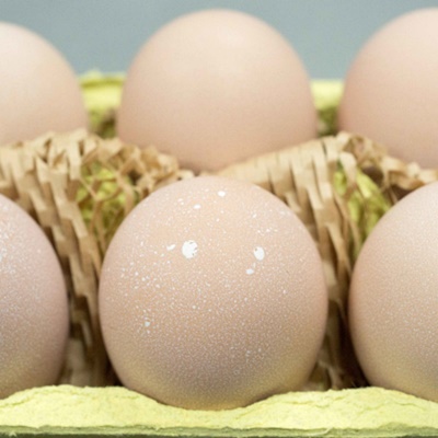 平飼い有精卵セット（5種各6個・計30個） ひよころ鶏園 卵 たまご 地鶏 赤鶏あずさ にいがた地鶏 軍鶏 名古屋コーチン 岡崎おうはん 国産 食べ比べ 平飼い 新鮮 レモンイエロー 新潟県 阿賀野市1R02011