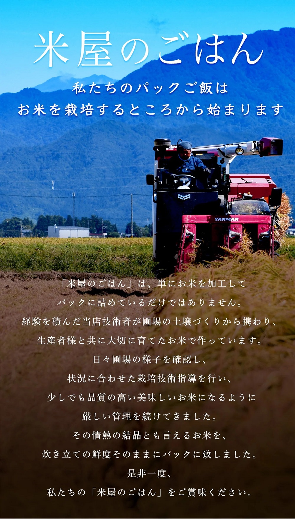 【3ヶ月定期便】 パックご飯 150g×24食×3回 みずほの輝き 米杜氏 壱成 新潟良食味品種 大粒 艶やか つや 冷めてももっちり 1H19031