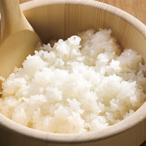 【低たんぱく質食品】【12ヶ月定期便】 1/5 越後ごはん 150g×20個 ×12回 バイオテックジャパン 越後シリーズ 1V37191