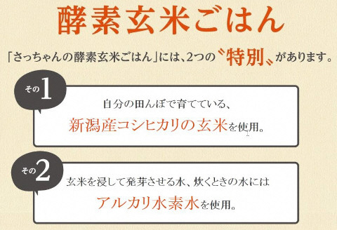 さっちゃんの酵素玄米ごはん「レトルトタイプ」125g×28パック コシヒカリ ３日間熟成 健康 美容 完全無添加 1F04031