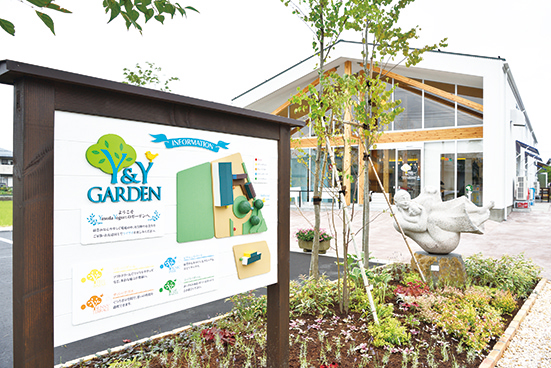 【5ヶ月定期便】ヤスダヨーグルト 800g×6本×5回 大ボトル 無添加 搾りたて こだわり生乳 濃厚 飲むヨーグルト のむよーぐると ヨーグルト 1B55046