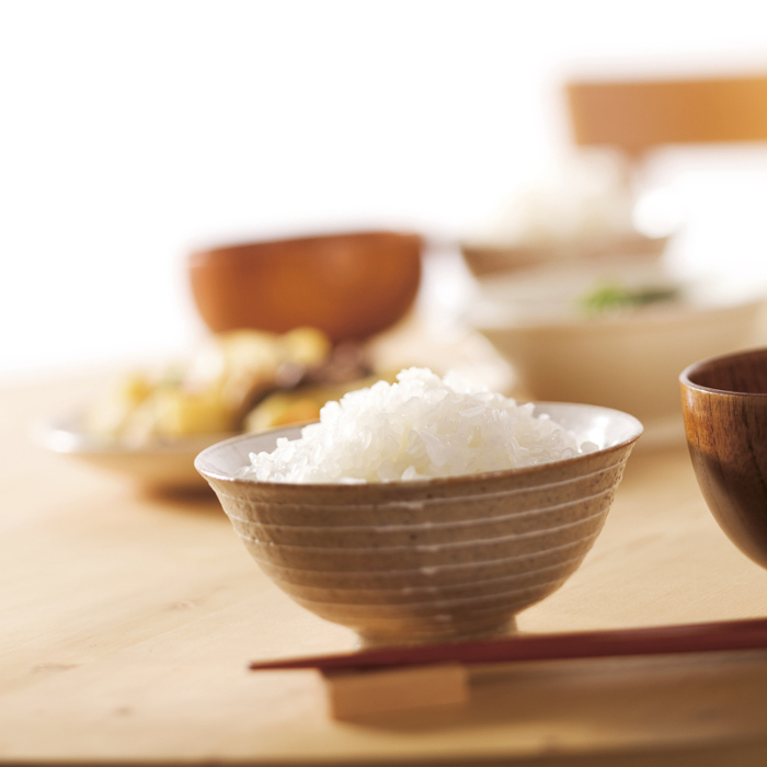 【低たんぱく質食品】【12ヶ月定期便】 1/5 越後ごはん 150g×20個 ×12回 バイオテックジャパン 越後シリーズ 1V37191