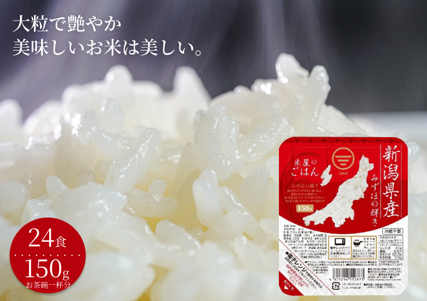 【6ヶ月定期便】 パックご飯 150g×24食×6回 みずほの輝き 米杜氏 壱成 新潟良食味品種 大粒 艶やか つや 冷めてももっちり 1H20061