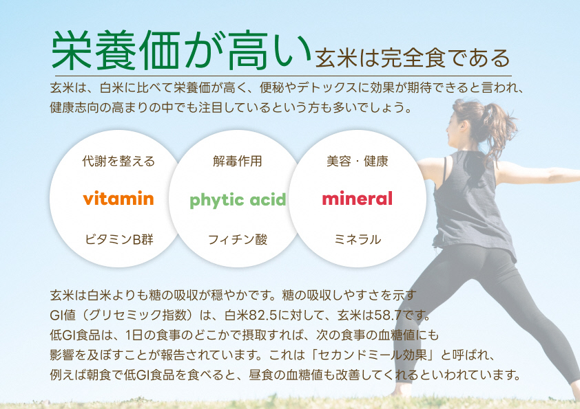 【新米】【12ヶ月定期便】【炊飯器で普通に炊ける玄米】 ふっくら玄米食 6kg（2kg×3）×12回 新潟県阿賀野市産 米杜氏 壱成 特別栽培コシヒカリ 1H35157