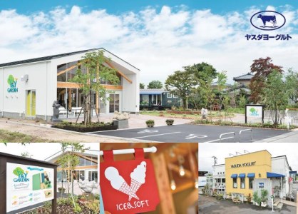 【3ヶ月定期便】ヤスダヨーグルト 食べるヨーグルト アレンジ名人セットA プレーンヨーグルト 600g×4個×3回 パウチ 無添加 搾りたて 生乳100％ こだわり生乳 新鮮 濃厚 モンドセレクション ヨーグルト 1B78019