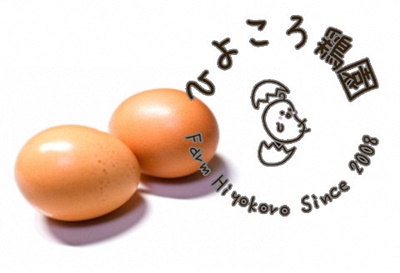 若軍鶏肉 （メス）と 工房謹製 つくね団子 のお鍋セット ひよころ鶏園 鶏肉 モモ もも ムネ むね ササミ ささみ 手羽 つくね 手作り ふんわり 柔らか 蓮根 れんこん 生姜 お子様 こども お年寄り 鍋 国産 新潟県 阿賀野市 冷凍 1R11011 