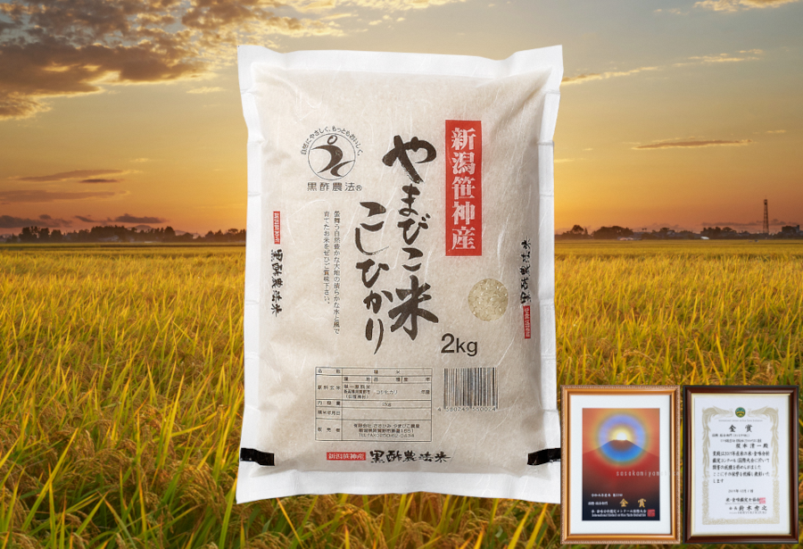 【令和7年産】【2か月定期便】コシヒカリ「やまびこ米」2kg×2回 玄米黒酢農法 金賞受賞 特別栽培米 白米 精米 農家直送 新潟県 米 こめ コメ 数量限定 1P06011