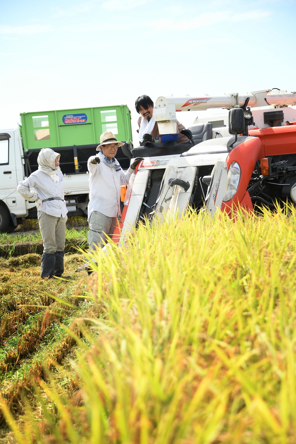 縲蝉サ、蜥7蟷エ逕」縲第眠貎溽恁髦ソ雉驥主クら肇 縺縺ョ縺。縺ョ螢ア 5kg 3D12023
