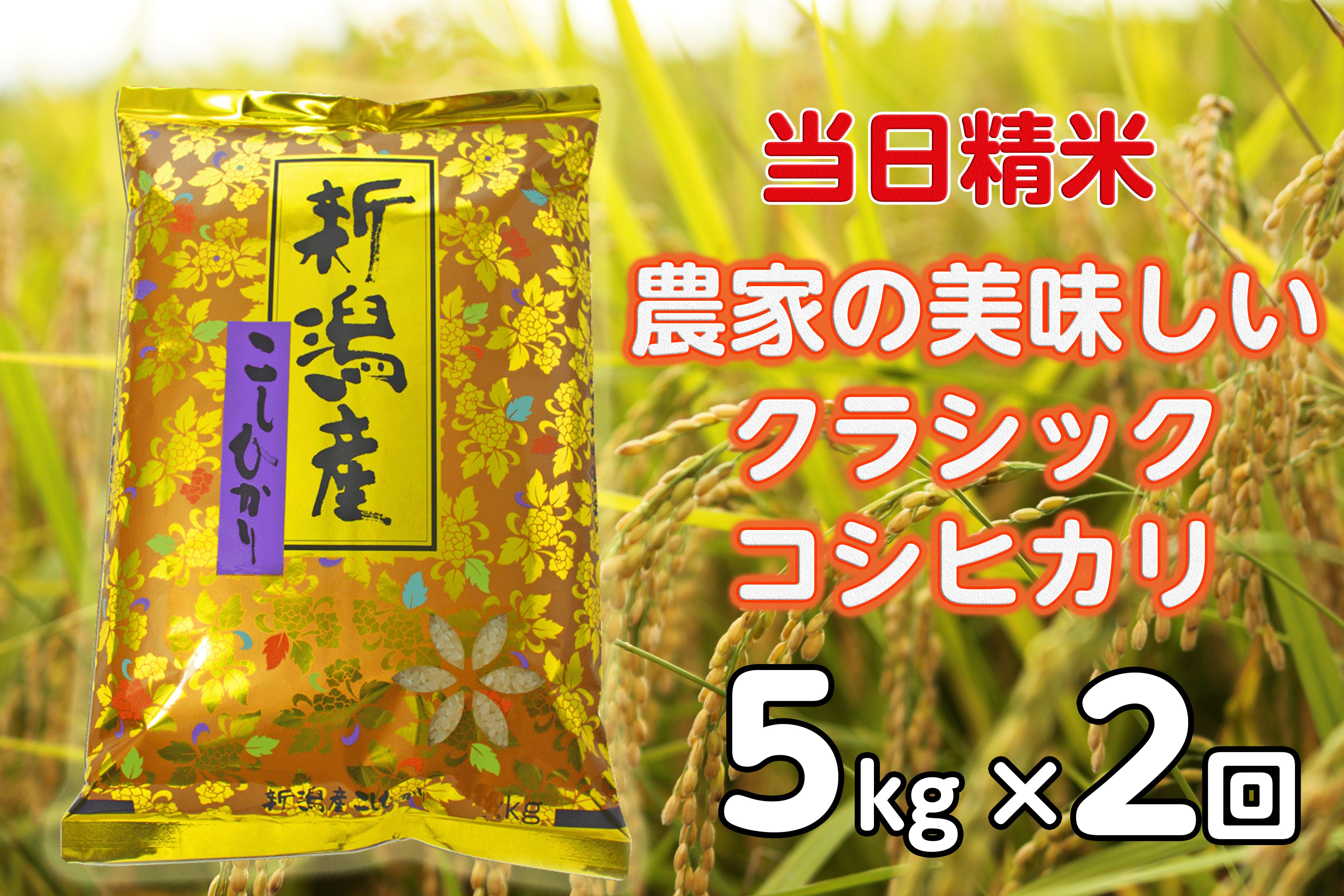 【令和6年産新米】【2ヶ月定期便】 当日精米! 農家直送 美味しい クラシックコシヒカリ 5kg×2回 計10kg 精米 白米 水原町農産センター 1F26023