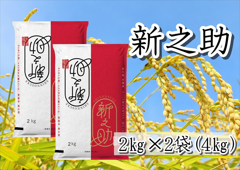 【令和6年産新米予約も可】新之助 4kg 白米 精米 井上米穀店 新米は11月上旬より順次発送予定 1I15008