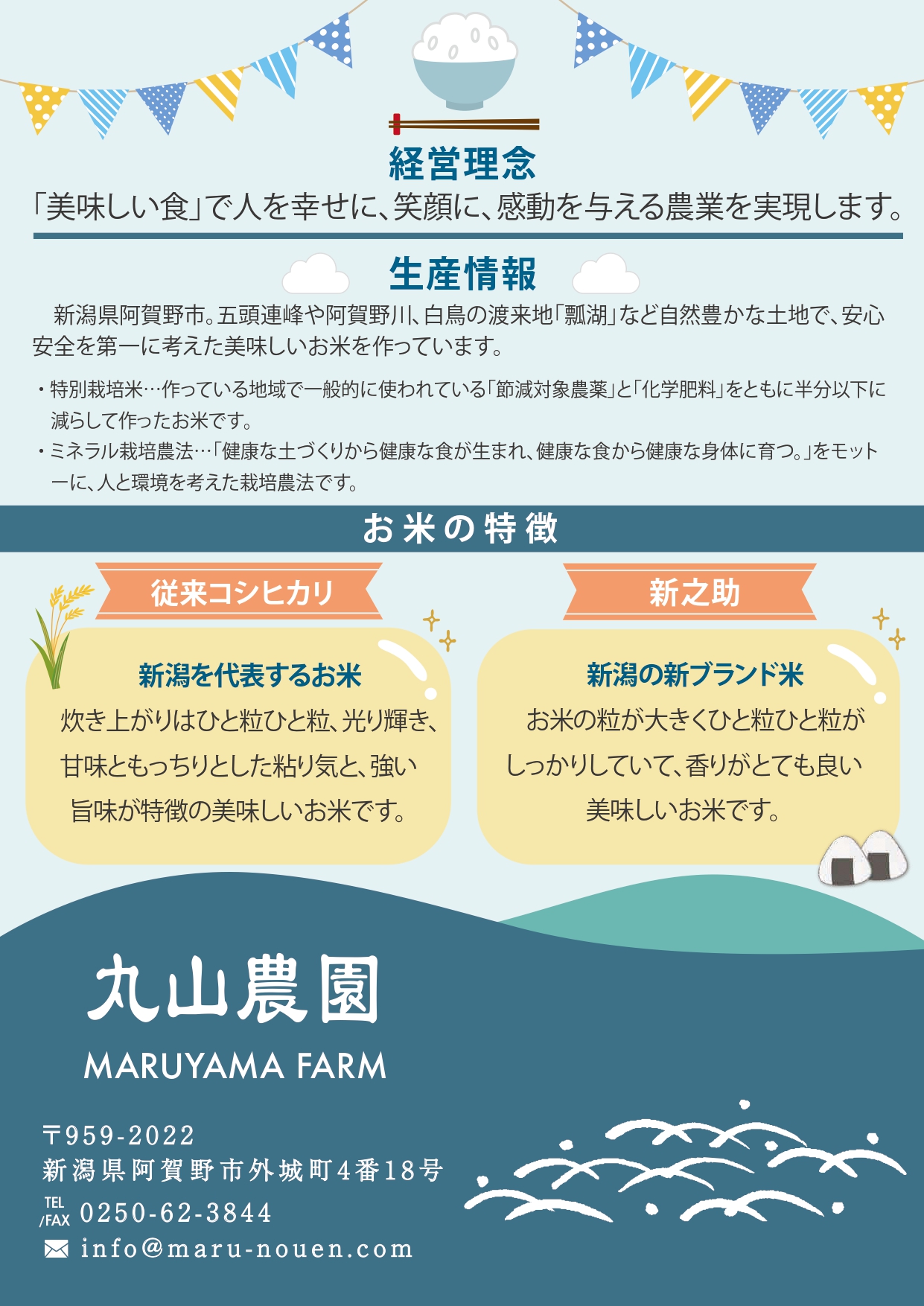 【新潟県認証米】  特別栽培米 新之助10kg (5kg×2袋) 阿賀野市産 3F04022