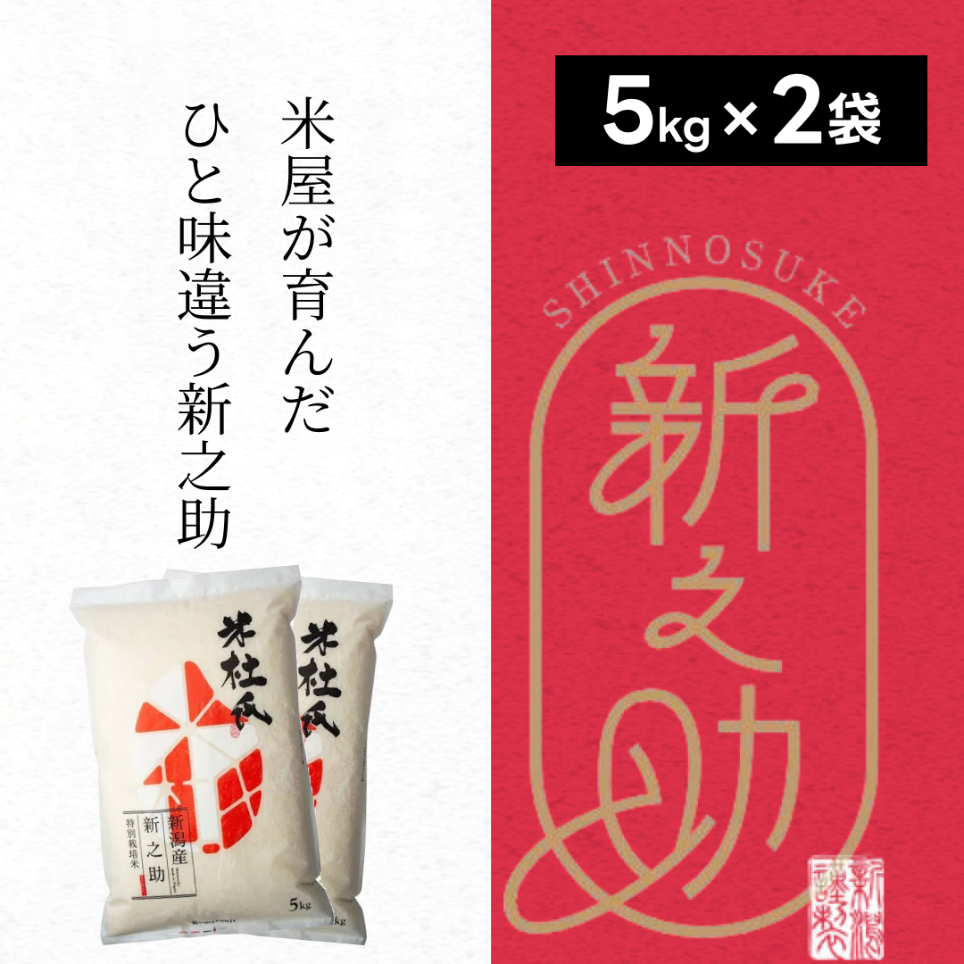 【新米】 特別栽培米 新之助 10kg (5kg×2袋) 米杜氏 壱成 白米 精米 大粒 つや 光沢 弾力 芳醇 1H02023