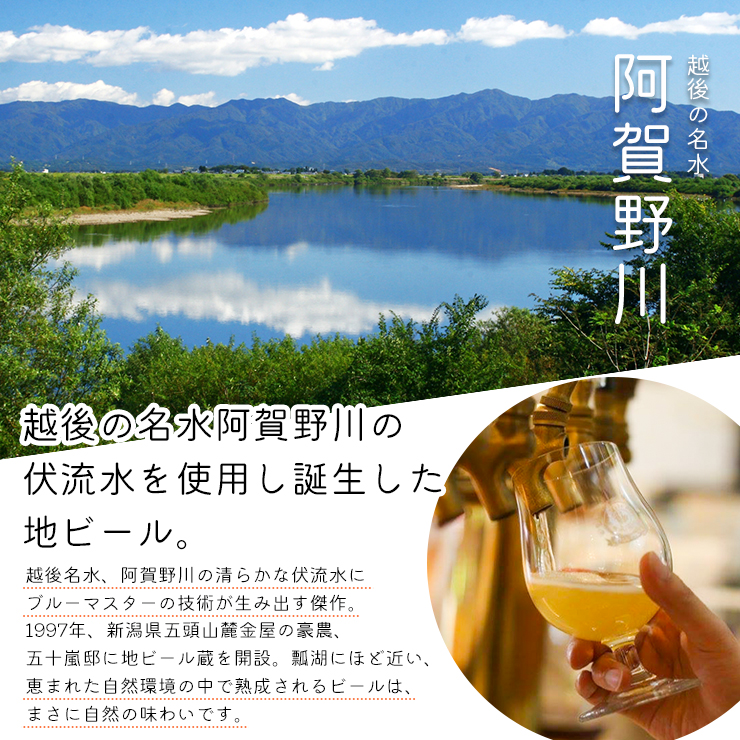 スワンレイクビール 世界一金賞受賞入り 飲み比べ金賞6本 阿賀野市 新潟県 阿賀野 ビ−ル クラフト 飲み比べ クラフトビール お酒  1S03013