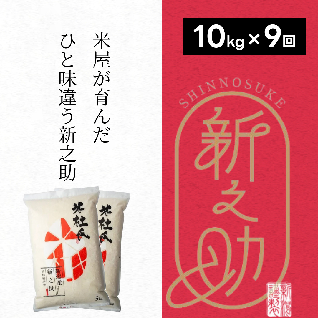 【新米】 9ヶ月定期便 特別栽培米 新之助 10kg (5kg×2袋)×9回 米杜氏 壱成 白米 精米 大粒 つや 光沢 弾力 芳醇 1H29208