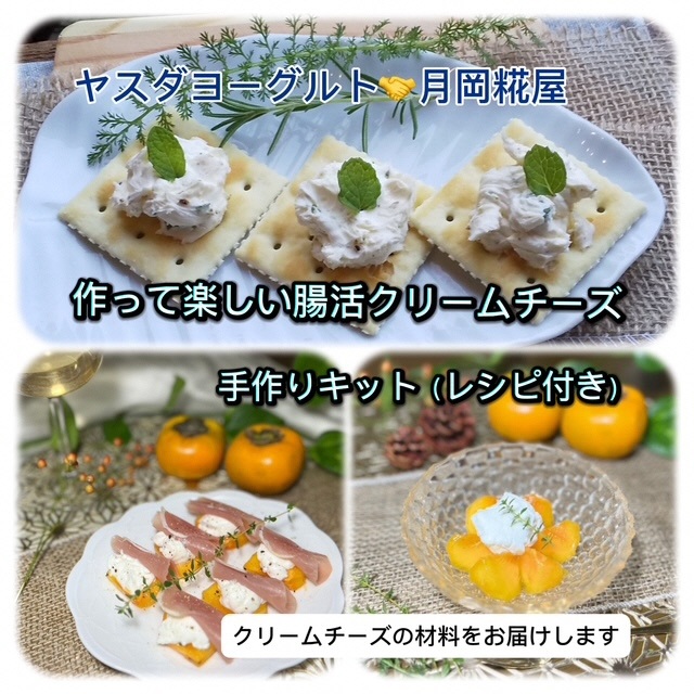 ＜冬春限定＞作って楽しい腸活クリームチーズ　手作りキット（レシピ付き） 手作り チーズ 腸活 1B88013