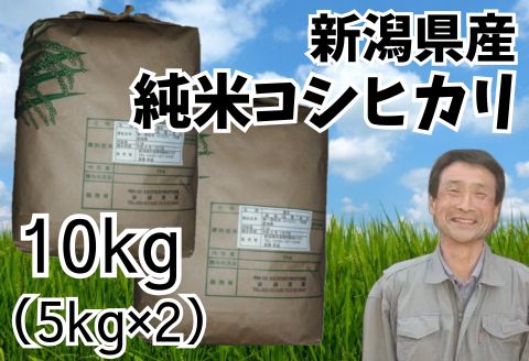 【令和7年産】新潟県産 純米コシヒカリ 10kg（5㎏×2袋） さいとう農園 白米 精米 米 こめ ごはん コシヒカリ こしひかり 1G18031