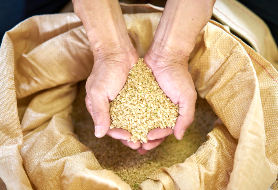 コシヒカリ「やまびこ米」 2kg 玄米黒酢農法 金賞受賞 特別栽培米 白米 精米 農家直送 1P01005