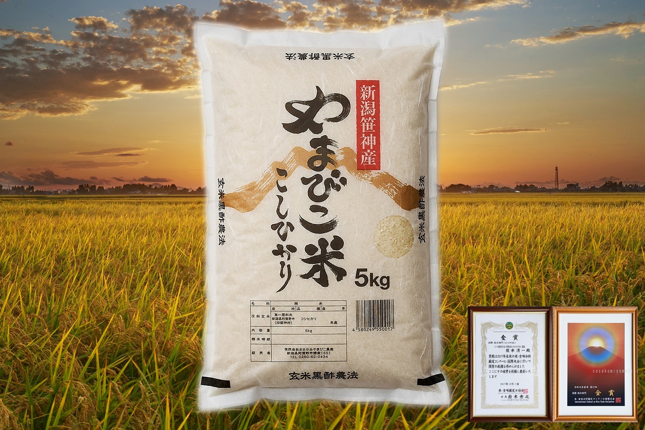 ã什å7幎ç£ãã³ã·ãã«ãªãããŸã³ãç±³ã 5kg çç±³é»é
¢èŸ²æ³ éè³åè³ ç¹å¥æ œå¹ç±³ çœç±³ 粟米 蟲家çŽé æ°æœç ç±³ ãã ã³ã¡ æ°ééå® 1P02011