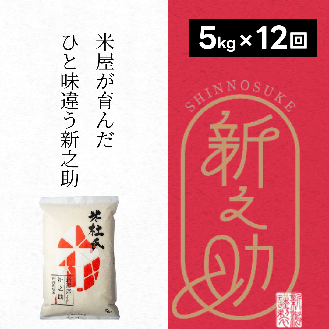  【新米】 【12ヶ月定期便】 特別栽培米 新之助 5kg (5kg×1袋)×12回 米杜氏 壱成 白米 精米 大粒 つや 光沢 弾力 芳醇 1H50144