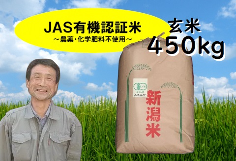 【令和6年産新米予約】JAS有機認証米！コシヒカリ 玄米 450kg 10月上旬より順次発送予定 精米も可 1G12000