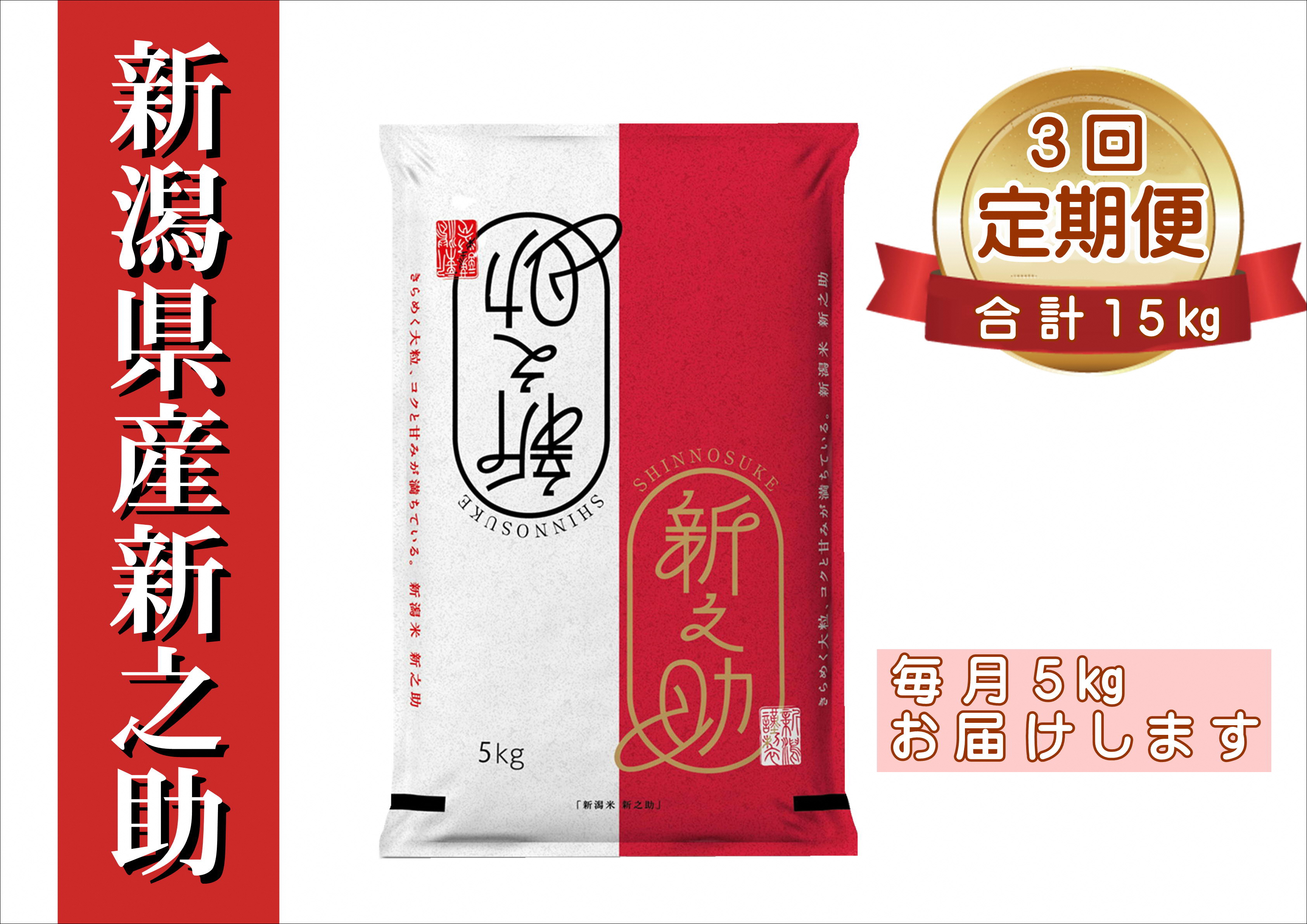 【令和6年産新米予約】【3ヶ月定期便】新之助 5kg×3回 計15kg 白米 精米 井上米穀店 11月上旬より順次発送予定 1I19030