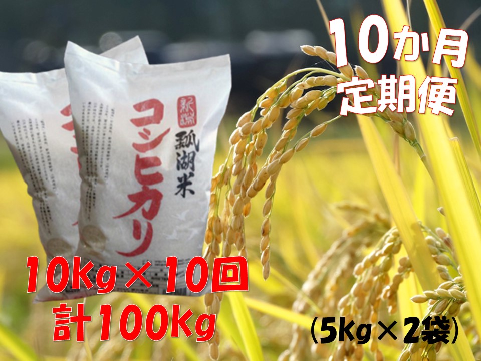 【令和7年産】【10ヶ月定期便】新潟産 コシヒカリ「瓢湖米」 10kg×10回 白米 精米 米 こめ コメ 1N14208