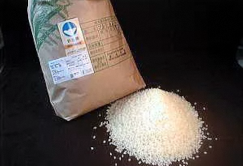 新潟県認証 特別栽培米 コシヒカリ 10kg 1G02020