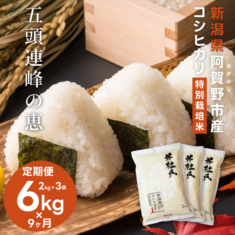 【新米】【9ヶ月定期便】新潟産 コシヒカリ 特別栽培米 6kg (2kg×3)×9回 米杜氏 壱成 白米 精米 1H39117