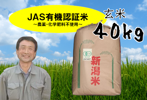 「令和5年産 完売御礼」【新米】JAS有機認証米コシヒカリ 玄米 40kg 10月中旬以降発送 1G10097
